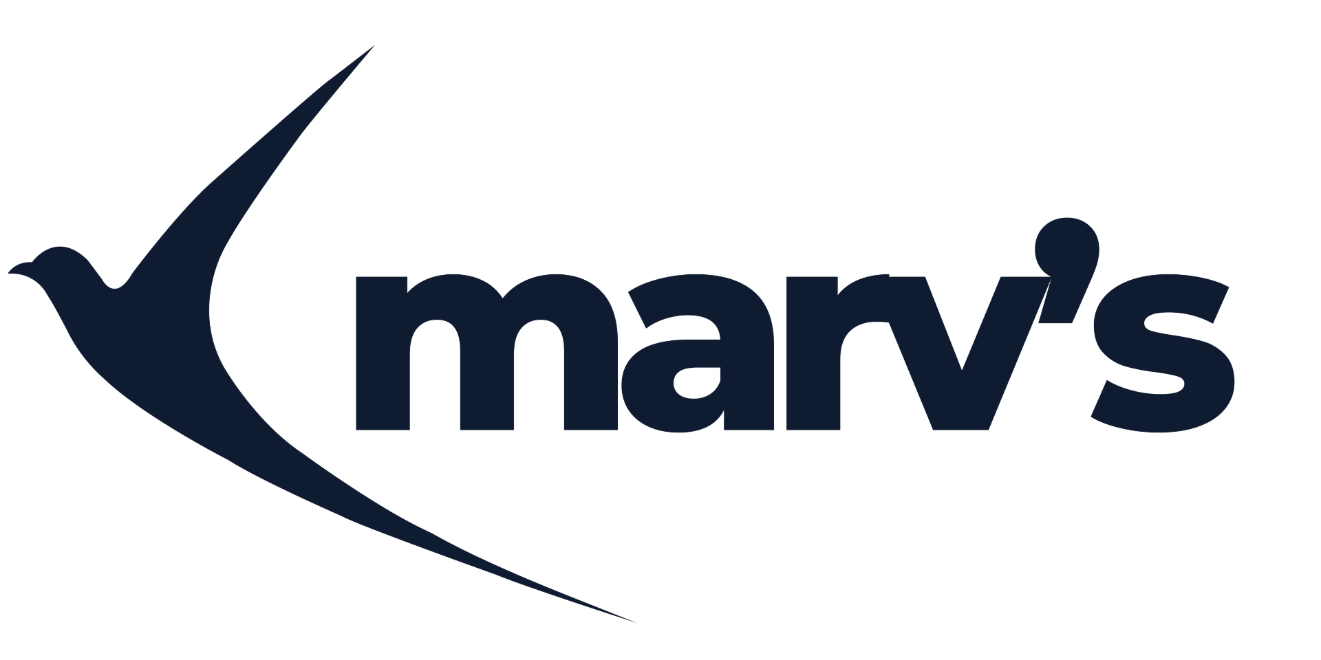 Marv's Visa Path AI